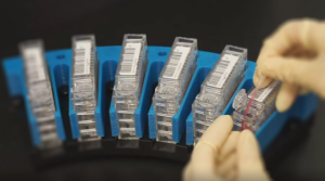Culture-free test cartridge designed for ease of use, contain all the required reagents to perform the test.