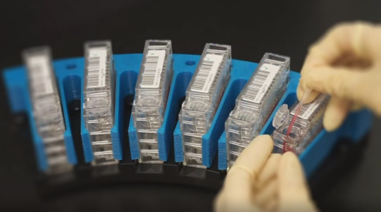 Culture-free test cartridge designed for ease of use, contain all the required reagents to perform the test. 